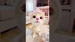 泥嚎姨姨，我想你了。 #这小猫谁养谁不迷糊啊 #养猫人才懂这一刻 #小猫都开始合租了 #猫咪 #小奶猫