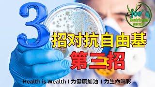 3招对抗自由基 第三招 I Joegy Health Gem