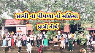 પ્રાચી ના પીપળા નો મહિમા || prachi na pipal no Mahima || prachi tirth