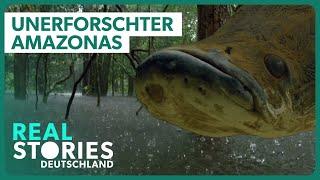 Doku: Geheimnisse im Amazonas Regenwald | Real Stories Deutschland