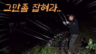 던지자마자 엄청난 입질! 매운탕 최고 맛을 자랑하는 고급 어종을 잡아보자!!