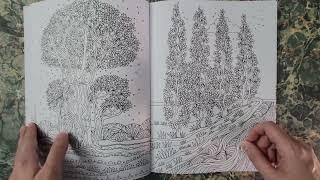 Flip through of Color yourself to tranquility by Melissa Launay. @doodlerobot42