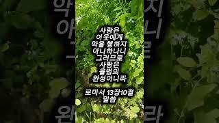 로마서13장10절말씀 #귀한말씀 #은혜로운채널 #성경구절 #성경말씀 #좋은글 #축복된삶 #성경구절암송