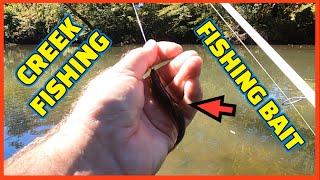 A Fishing BAIT that CATCHES  FISH for DINNER and other FISH !!