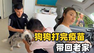 在村里买东西特别不方便，每次进城都要大采购，满满的一后备箱，够我们吃十几天了