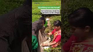 Nav-Preneurs :6: The Women Agri Entrepreneurship Initiative by Syngenta Foundation India