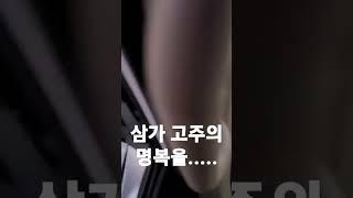 #교통사고 #카스 #cass #맥주 #고속도로사고