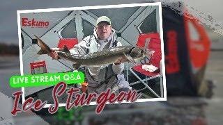 Good Morning LIVESTREAM from the St Croix River (Ice Fishing Sturgeon)