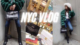 NYC JAN VLOG | 17° IN NYC! THE CROCODILE BIRKIN OF MY DREAMS, & BERGDORF GOODMAN