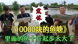 花10000塊包下八年的老魚塘，裏面的魚十斤起步太大了 #包塘 #護外 #鄉村生活 #小飛哥#抓魚vlog