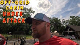 THIS HAS TO END TODAY tiny house, homesteading, off-grid, cabin build, DIY, HOW TO, sawmill, tractor