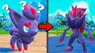 How to find Zorua and Evolve it into Zoroark in Pokemon Scarlet & Violet