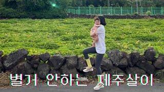 jeju life vlog with baby(healing vlog)
