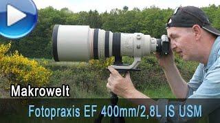 Canon EF 400mm / 2,8L IS USM in der Fotopraxis