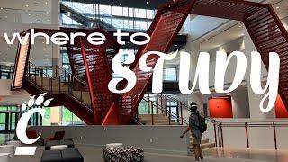 the best study spots at uc | touring university of cincinnati for fall 2023