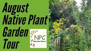 Garden Tour- Northeast Native plants in August!