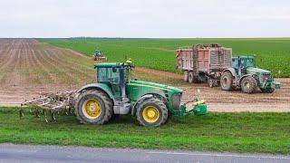 Un chantier à l'américaine à l'arrachage des betteraves 2024 !