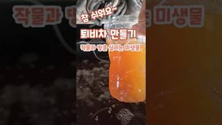 퇴비차 만드는 방법 천연 미생물 영앙제 괴산젊은농부 #shorts