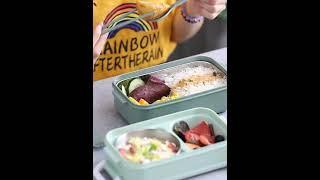 Double-Layer Bento Box