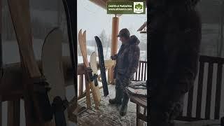 Какие лыжи выбрать для охоты