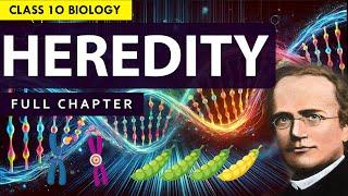 CLASS 10 HEREDITY & EVOLUTION Full chapter explanation (Animation) | NCERT Class 10 Chapter 8