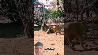 short#video #youtube Vishal Chauhan 1k pahla block video Vishal Chauhan ka id subscribe kijiye🫶