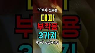 대파 이렇게 먹으면 큰일납니다 부작용 #건강