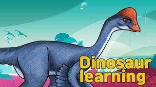 Dinosaur Chirostenotes Collection | What is this dinosaur? | carnivorous dinosaur  | 공룡 키로스테노테스