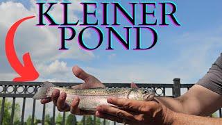 Trout Fishing with Power Bait and Spinners