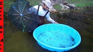 FLUSHING 1,000 FISH Caught OUT of the GRASS **Minnow Trap BIG Mistake**