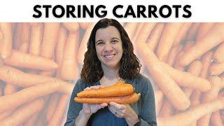 How to Store Carrots and Prep Them to Last!