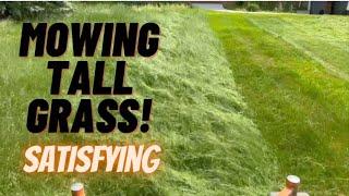 Mowing 10 Weeks of Growth [Mowing Tall Grass | Extremely Satisfying]