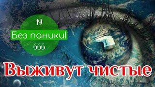ЧТО на самом деле ПРОИСХОДИТ?