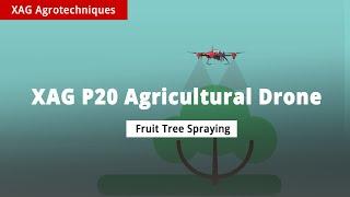 XAG Agricultural Drone Application | Orchard Spraying for Citrus Trees