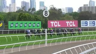 Vrc Oaks 2024 - TREASURETHE MOMENT (3YO SW G1 F) Group 1 Flemington 7 November