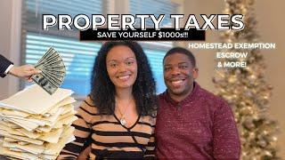 2023 PROPERTY TAXES 101 | HOMESTEAD EXEMPTION