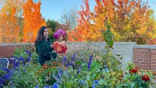 Fall Cut Flower Harvest! A Beautiful Morning In My Container Garden 🪴