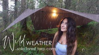 Solo Tarp Camping in Heavy Rain & Hail ️ at a Beautiful Forest Lake in the Mountains