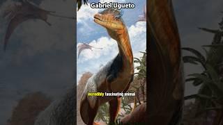 What is Your Favorite Dinosaur?