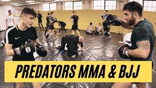 Predators MMA and BJJ Gym - Manchester, UK - Brazilian Jiu Jitsu, Kickboxing and MMA Classes