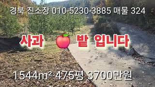 매물 324#경북 진소장 #의성부동산 #군위부동산 #안동부동산 #경북 부동산 #의성 토지 매매 #진소장 부동산 #군위 땅 매매 #과수원 매매 #촌집 매매 #영천 부동산