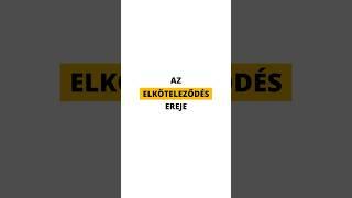 ️ Tedd meg ezt és tapasztalj NAGY változást! #tudatosság #folyamat #inspiráció #önfejlesztés #flow