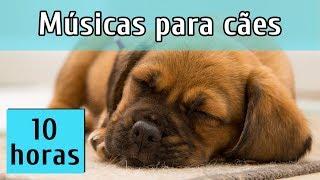 MÚSICAS PARA RELAXAR CÃES AGITADOS (TESTADO)