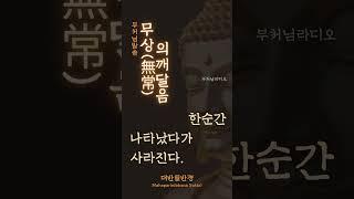 부처님말씀 무상의깨달음