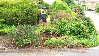 These Garden Bed were Like a Jungle (Watch us Clean it Up)!