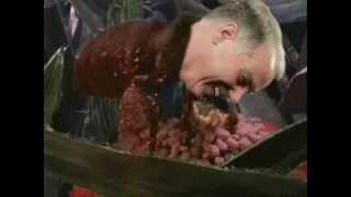 Howard Dean bees - Honey I Shrunk The Kids