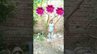 Jay shree ram #golukumarvfx #shorts #youtubeshorts #trending #viralvideo
