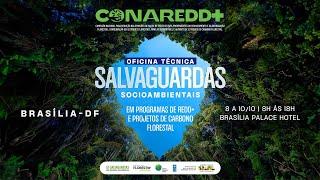 Salvaguardas Socioambientais em Programas Redd+ e Projetos de Carbono Florestal - 1º dia