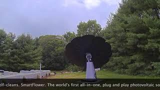 Solar SmartFlower at Lavender Pond Farm