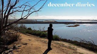 an ordinary week in my life — december diaries